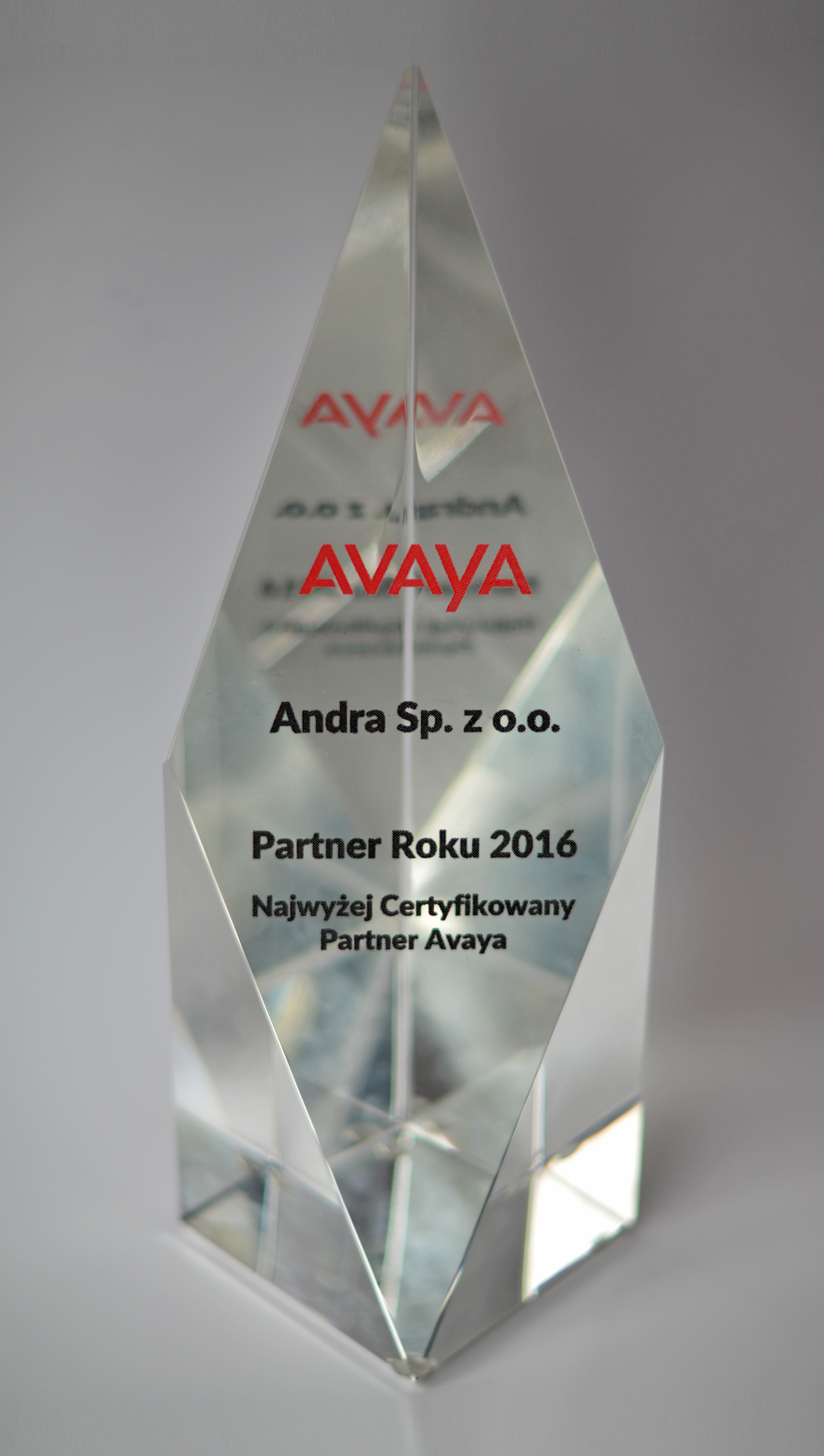 Partner Roku 2016 statuetka